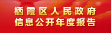 棲霞區(qū)人民政府信息公開年度報告